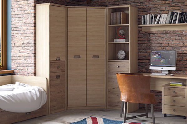 Фото Шкаф 2D1S/D1 Дизель (Diesel) от производителя Анрэкс в Бахчисарае по цене 16 500 ₽