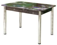 Фото  стол обеденный со-2 фотопечать производитель Росток