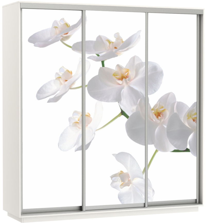 Фото Шкаф-купе Экспресс Трио Фото (2,4х0,6х2,4 - 3 двери) от производителя Мебельная компания Е1 в Бахчисарае по цене 63 870 ₽