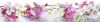 Фото Стеновая кухонная панель SP 090 от производителя SV-мебель в Бахчисарае по цене 5&nbsp;320 ₽